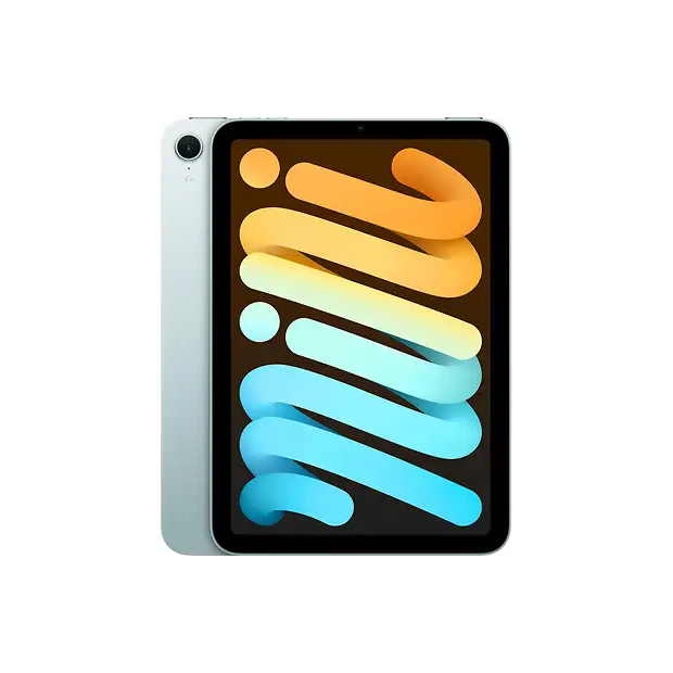 iPad mini